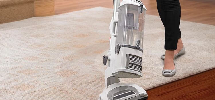 Best vacuum cleaner for cat litter